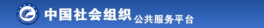 叉日本韩国女人的逼全国社会组织信息查询